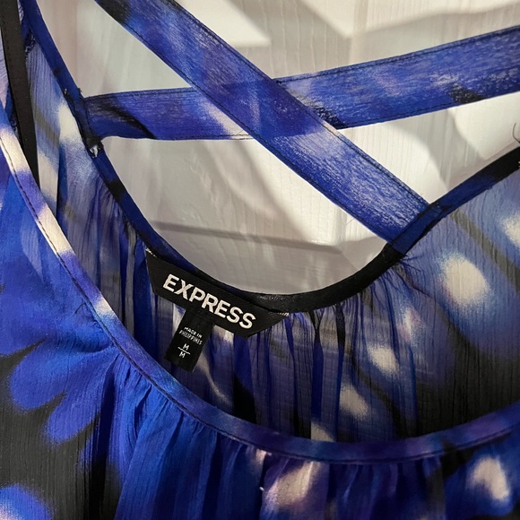 Express Dress - Picture 3 of 3